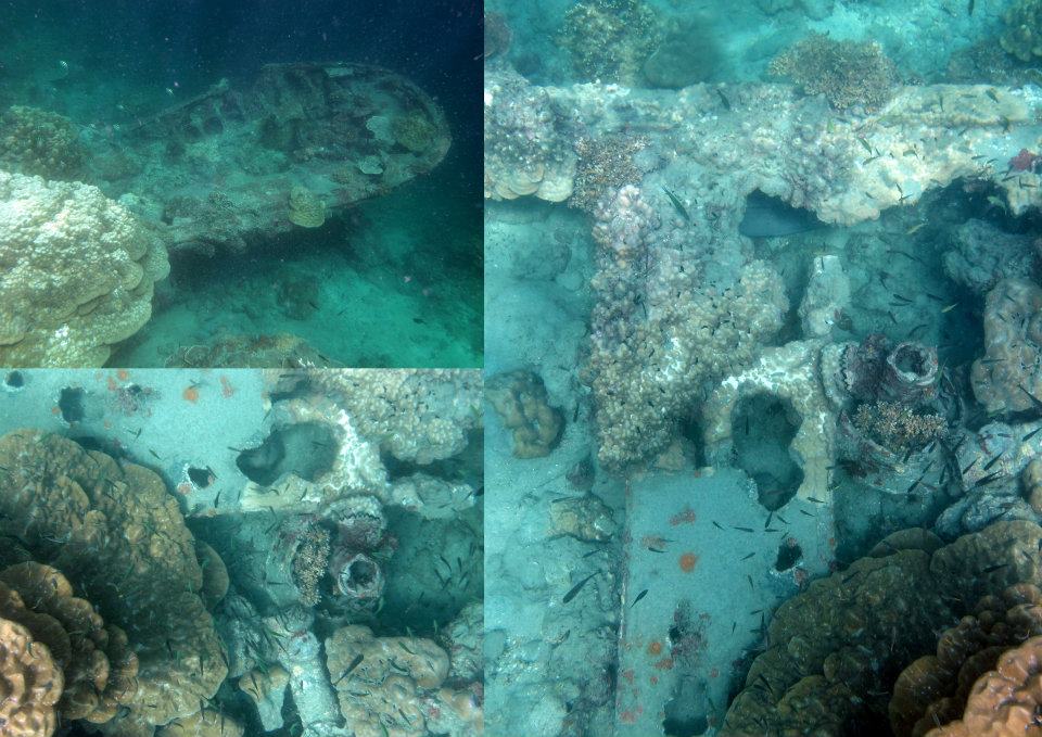 536427_447687528580385_592405262_n — Berhala Island